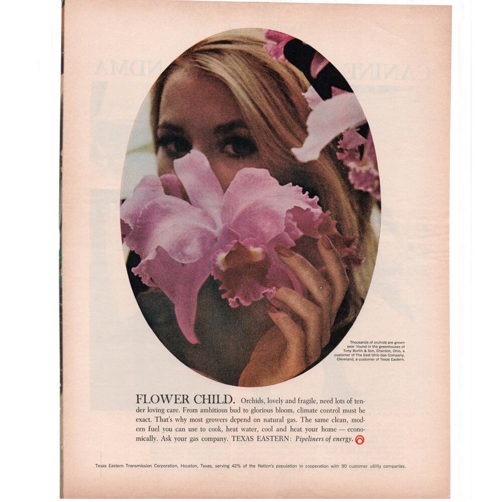 Texas Eastern Pipeline Oil Magazine Advertisement 1969 Vintage Hippie Flowers